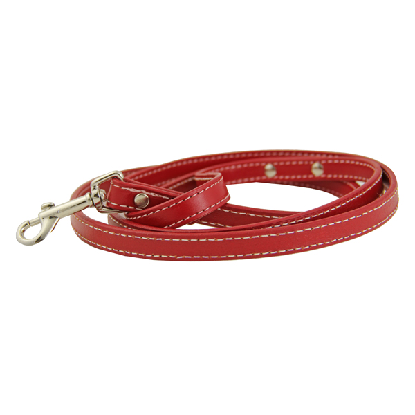 red leather dog leash